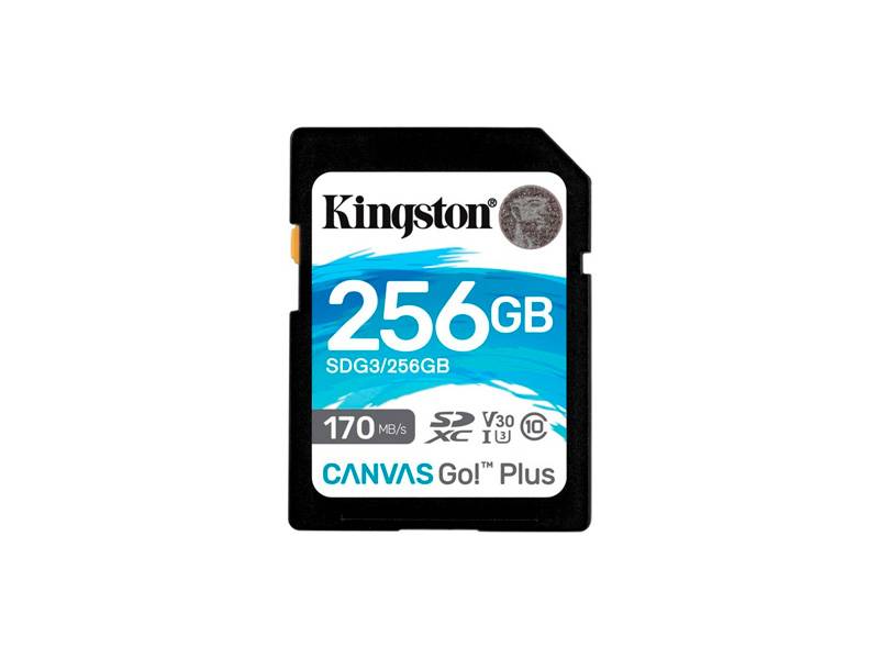 Tarjeta De Memoria Kingston Canvas Go! Plus 256 Gb