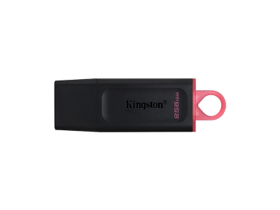 Pendrive Kingston Usb Dtx/256Gb 3.2 - Dtx/256Gb