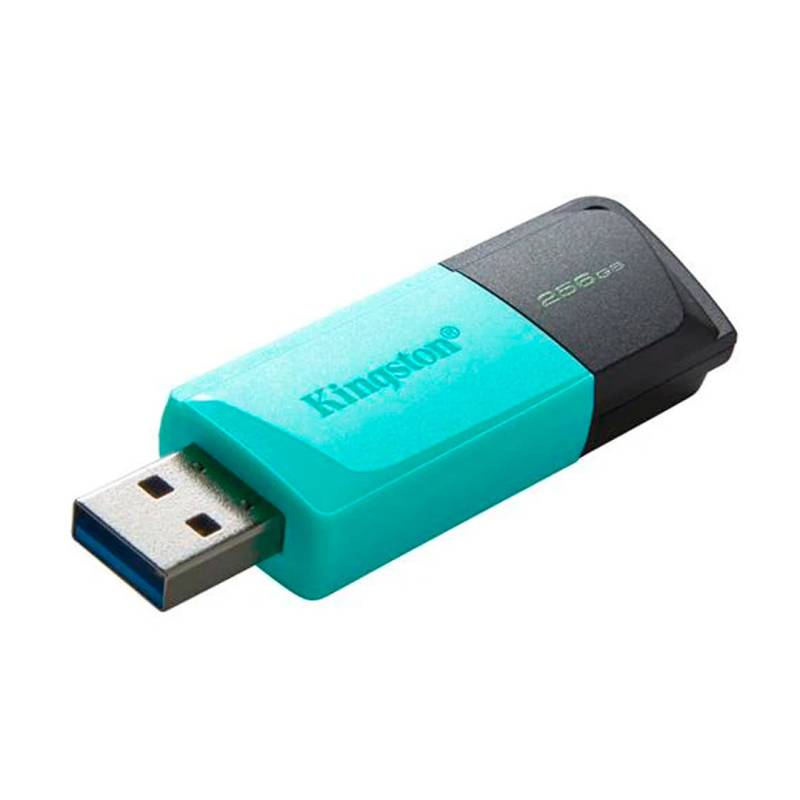 Pendrive Kingston Dt Exodia S 256Gb