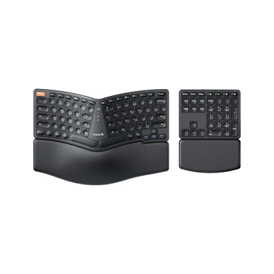 Teclado Inalámbrico Ergonómico Ek04 Protoarc Negro