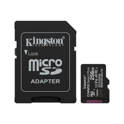 Micro Kingston Sdxc 256Gb Canvas Plus