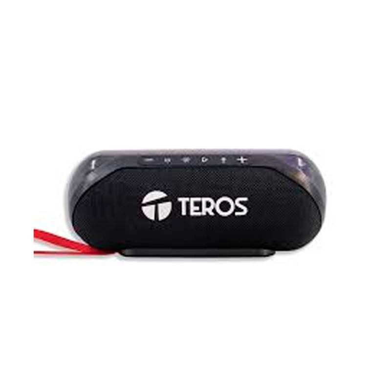 Parlante Portátil Teros Con Agarre (Te-6047N)