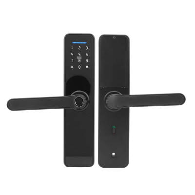 Cerradura Biométrica Ms01 Oem Rfid Negra